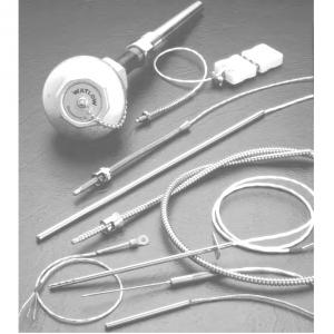 Specialty RTDs and Thermistors