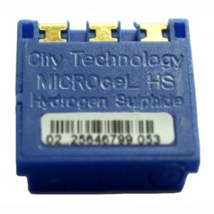 Hydrogen Sulfide (H2S) Gas Sensor