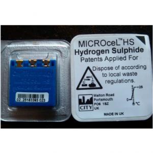 Hydrogen Sulfide (H2S) Gas Sensor