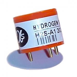Hydrogen Sulfide Sensor (H2S Sensor)