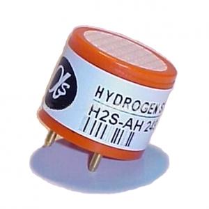 High Sensitivity Hydrogen Sulfide Sensor  (H2S Sensor)